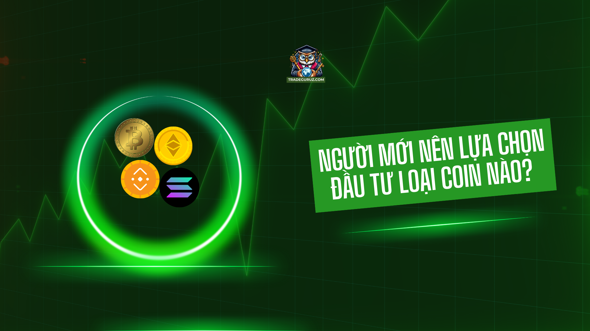 Người mới nên lựa chọn đầu tư loại coin nào?